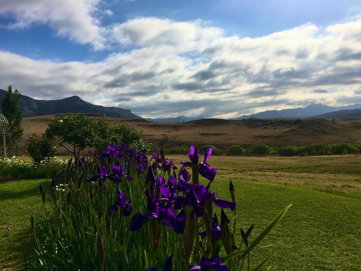 Jovali Clarens Hotel Luaran gambar
