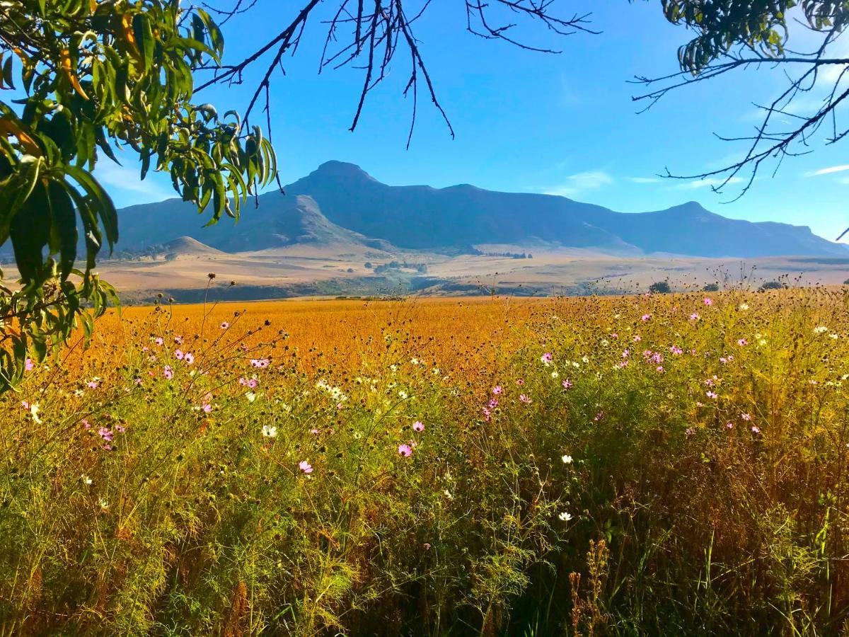 Jovali Clarens Hotel Luaran gambar